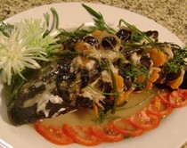 ca-hap-tam-cap ca-hap-tam-cap