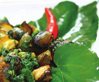 oc-buou-xao-la-lot oc-buou-xao-la-lot