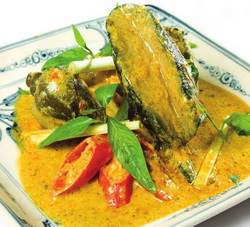 oc-giac-nau-ca-ri oc-giac-nau-ca-ri