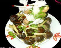 oc-nhoi-hap-sa oc-nhoi-hap-sa