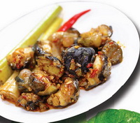 oc-xao-sa-te oc-xao-sa-te