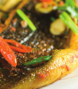 vay-ca-duoi-nuong-ca-ri vay-ca-duoi-nuong-ca-ri