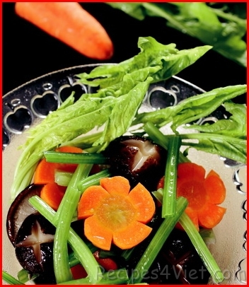 boxoixaodongco boxoixaodongco