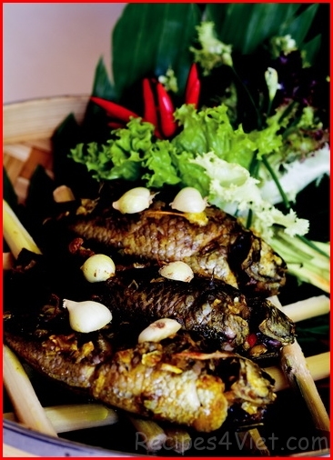 ca_ro_nuong ca_ro_nuong