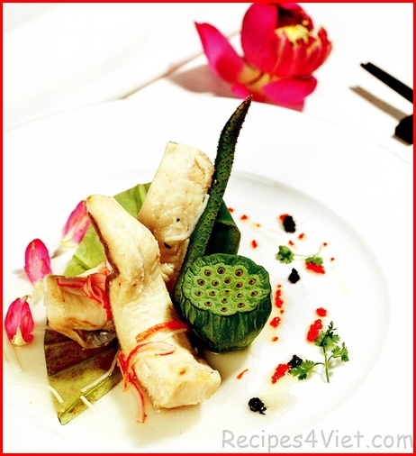 cadieuhonghaplasen cadieuhonghaplasen