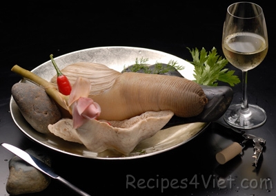 oc voi voi oc voi voi