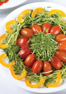 salad rau mam salad rau mam