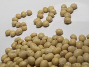 soybean soybean