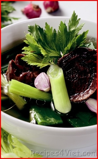 sup bap bo sup bap bo