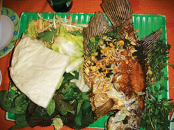 ca tai tuong chien xu ca tai tuong chien xu