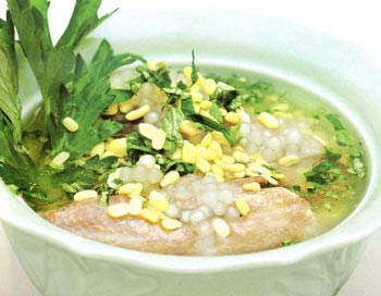 chim cut ham ngai cuu chim cut ham ngai cuu