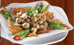 nam xao tau hu ky nam xao tau hu ky