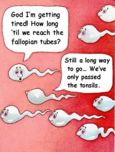 sperm0 sperm0
