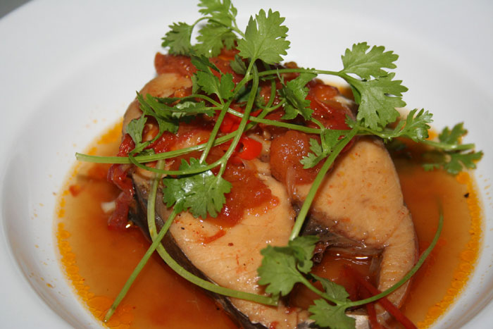 CaThuKhoCa CaThuKhoCa