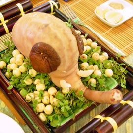 bachtuongluuha1 bachtuongluuha1