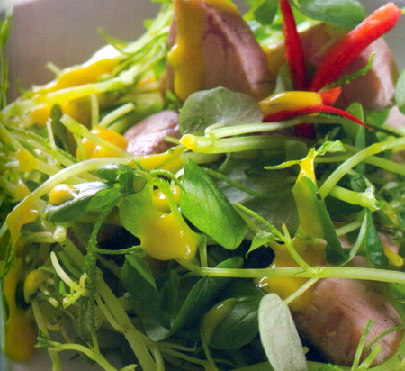 cang cua xot ca co cang cua xot ca co