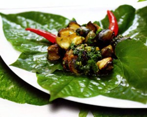 Oc-buou-xao-la-lot Oc-buou-xao-la-lot