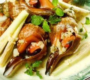 Oc-do-nau-sua Oc-do-nau-sua