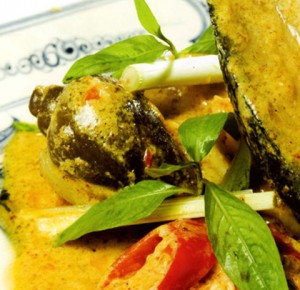 Oc-giac-nau-ca-ri Oc-giac-nau-ca-ri