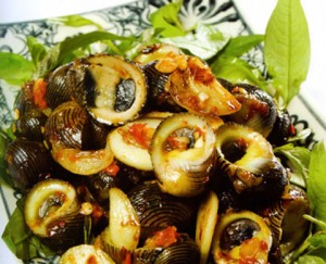 Oc-nhua-chay-toi-ot Oc-nhua-chay-toi-ot