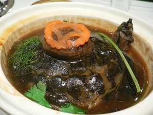 canhruaphuquoc canhruaphuquoc