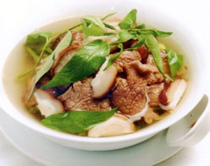 canhthitbonamhuong canhthitbonamhuong