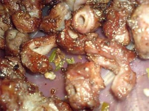 ngaupinnuong ngaupinnuong