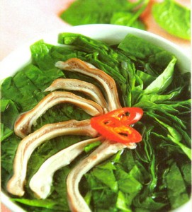 canh mong toi bao tu canh mong toi bao tu