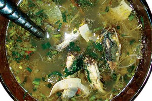 canhchuacanganh canhchuacanganh