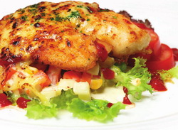 canuongsotca canuongsotca