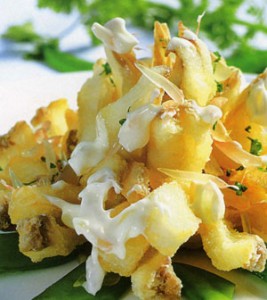 casotvibuoi casotvibuoi