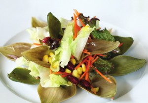 saladartichoke