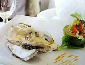 haudotlosottraibo haudotlosottraibo