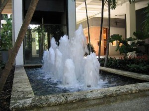 dai-phun-nuoc-o-khu-vuc-phia-dong-ngoi-nha