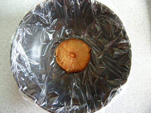 Đậu phụ hấp trứng - thanh mà ngon 7 Đậu phụ hấp trứng - thanh mà ngon 7