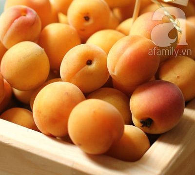 Thạch mơ nhân bánh flan - món ngon không thể chối từ 3 Thạch mơ nhân bánh flan - món ngon không thể chối từ 3