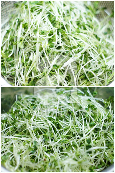 Mát giòn ngon miệng với món salad rau mầm 5 Mát giòn ngon miệng với món salad rau mầm 5
