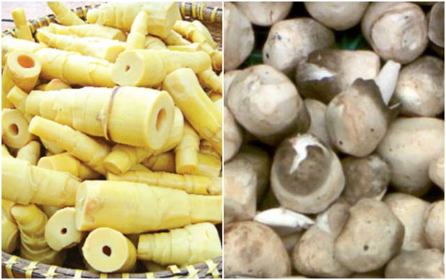 Lạ miệng, ngon cơm với món nấm kho măng hình ảnh 1 la mieng, ngon com voi mon nam kho mang hinh anh 1