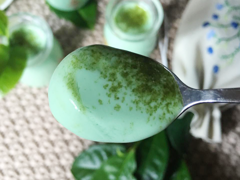 cach lam sua chua tra xanh