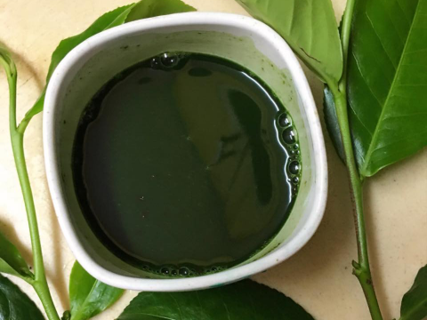 cach lam sua chua tra xanh 2